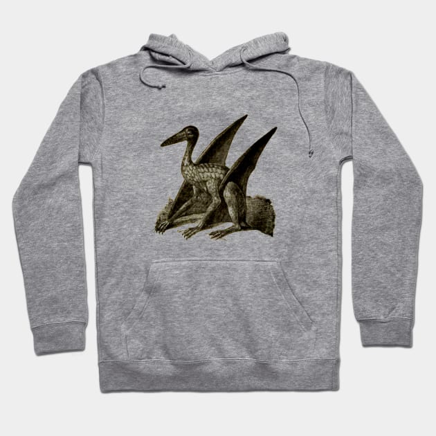 Archaeopteryx Hoodie by OpsimathArt